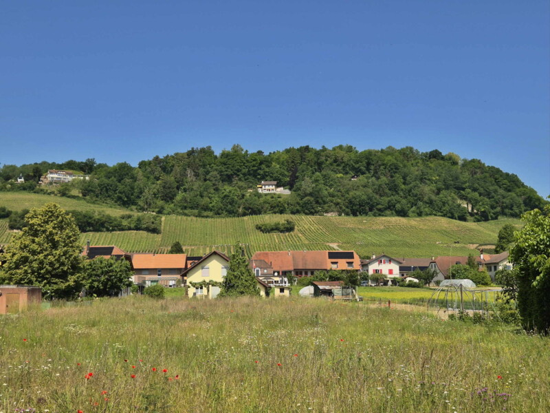 La vue direction nord-ouest sur le Mont Vully. Plage de Sugiez, commune de Mont-Vully, lac de Morat, canton de Fribourg. La vue direction nord-ouest sur le Mont Vully. Plage de Sugiez, commune de Mont-Vully, lac de Morat, canton de Fribourg.