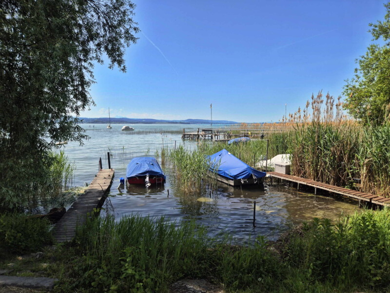 Rivage. Plage de Sugiez, commune de Mont-Vully, lac de Morat, canton de Fribourg.