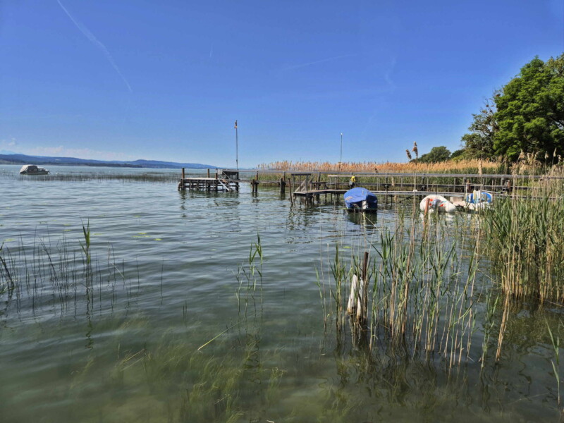 Rivage. Plage de Sugiez, commune de Mont-Vully, lac de Morat, canton de Fribourg.