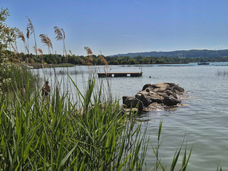 Radeau. Plage de Sugiez, commune de Mont-Vully, lac de Morat, canton de Fribourg.