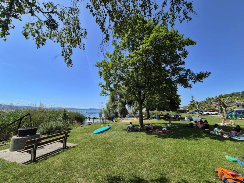 Pelouse. Plage de Sugiez, commune de Mont-Vully, lac de Morat, canton de Fribourg.