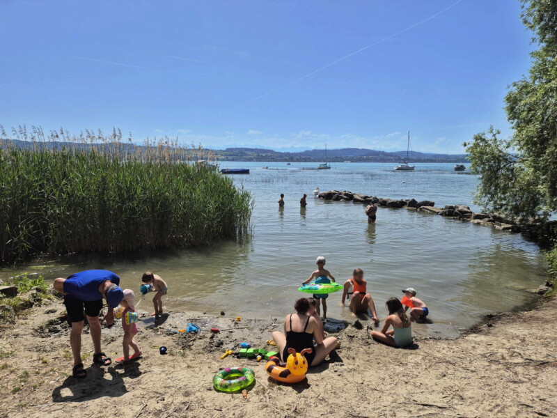 Zone de Sable. Plage de Sugiez, commune de Mont-Vully, lac de Morat, canton de Fribourg.