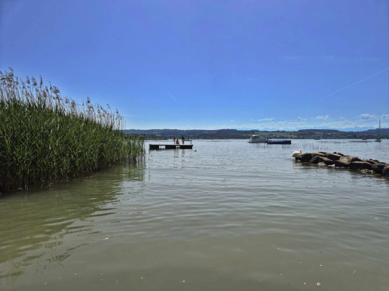Zone de Sable. Plage de Sugiez, commune de Mont-Vully, lac de Morat, canton de Fribourg.