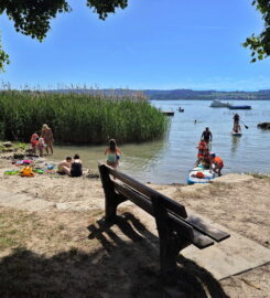 🏖️ Plage de Sugiez – Mont-Vully