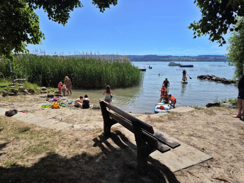 La petite zone de sable pour accéder au lac. La petite zone de sable pour accéder au lac. Plage de Sugiez, commune de Mont-Vully, lac de Morat, canton de Fribourg.