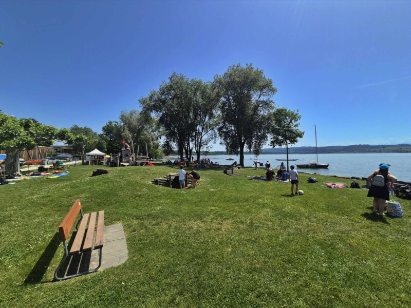 Pelouse. Plage de Nant, Mont-Vully, Lac de Morat, Canton de Fribourg.
