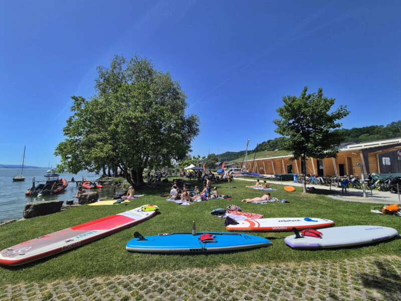 Pelouse. Plage de Nant, Mont-Vully, Lac de Morat, Canton de Fribourg.