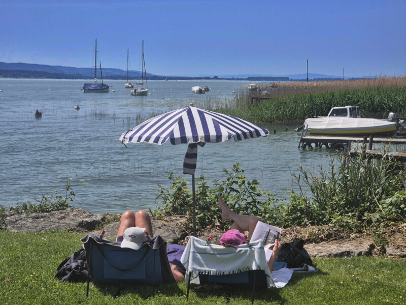 Pelouse. Plage de Nant, Mont-Vully, Lac de Morat, Canton de Fribourg.