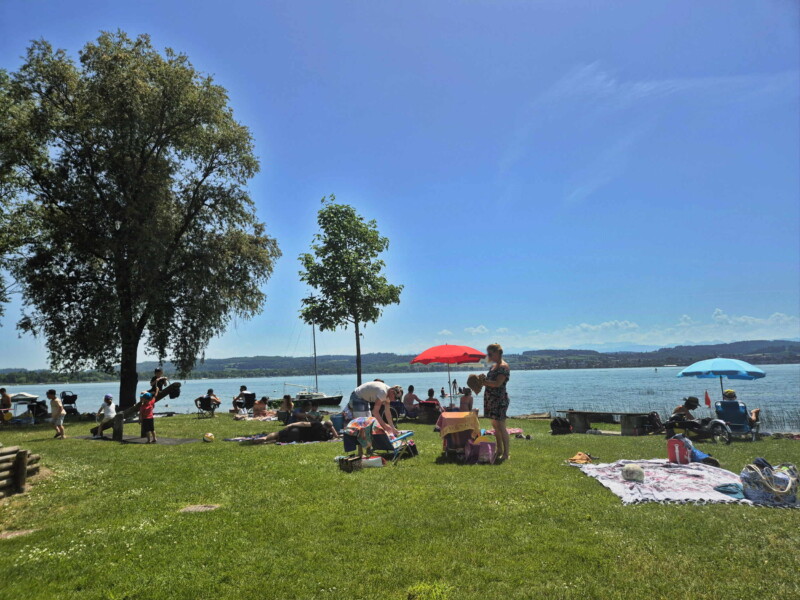 La pelouse de la plage de Nant. Plage de Nant, Mont-Vully, Lac de Morat, Canton de Fribourg.