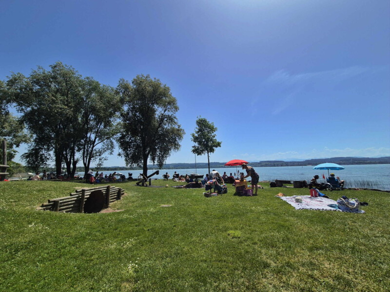 Pelouse. Plage de Nant, Mont-Vully, Lac de Morat, Canton de Fribourg.