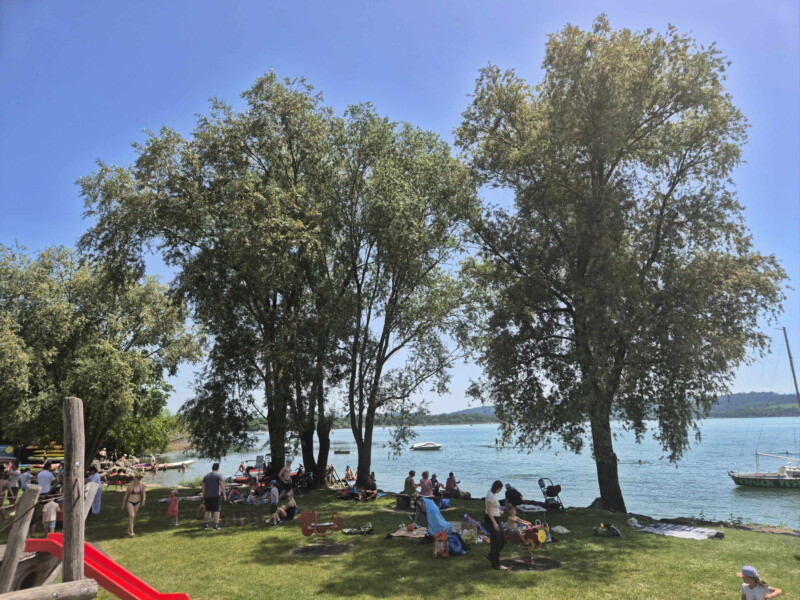 Pelouse. Plage de Nant, Mont-Vully, Lac de Morat, Canton de Fribourg.
