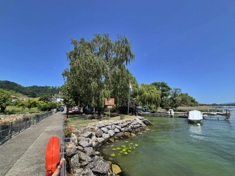 La vue sur le ponton du débarcadère en direction du rivage. Débarcadère de Praz, Mont-Vully, compagnie LNM, lac de Morat, canton de Fribourg.