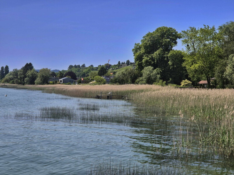 débarcadère de Praz. Plage de Praz, Mont-Vully, Canton de Fribourg, Lac de Morat.