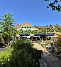 🏖️🌊 Plage de Praz – Mont-Vully