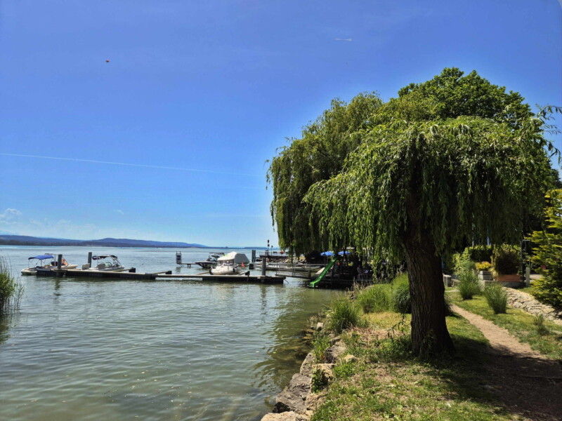 Pelouse plage. Plage de Praz, Mont-Vully, Canton de Fribourg, Lac de Morat.