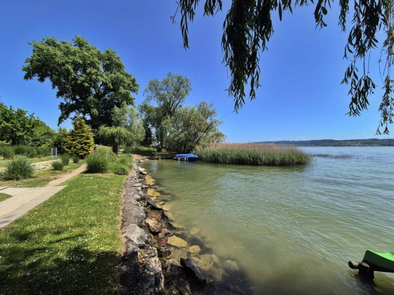 Pelouse plage. Plage de Praz, Mont-Vully, Canton de Fribourg, Lac de Morat.