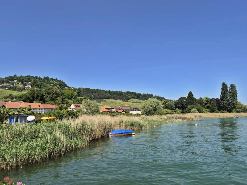La vue sur le rivage, direction nord-est. Plage de Môtier, Mont-Vully, lac de Morat, canton de Fribourg.