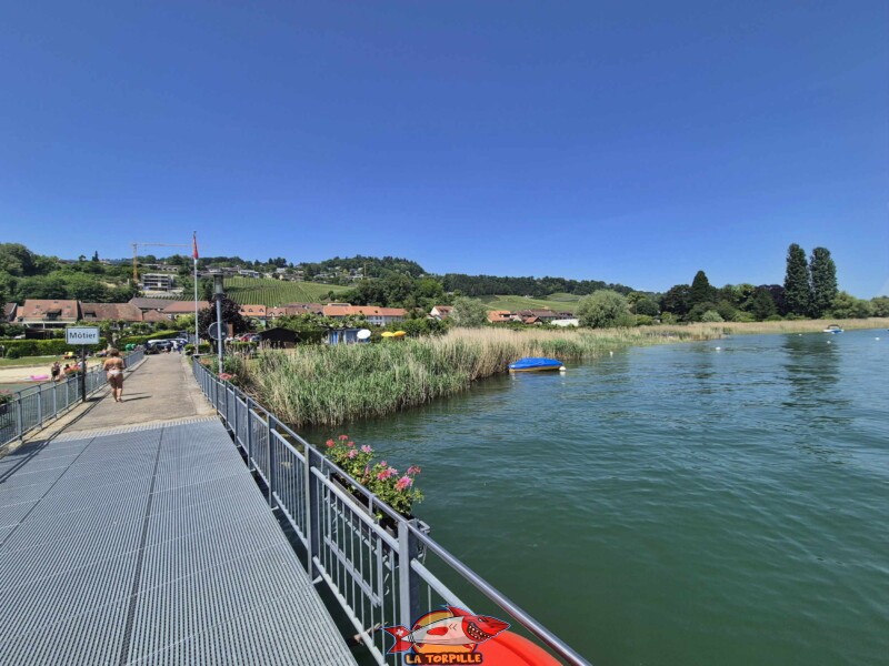 Le ponton du débarcadère depuis la pelouse de la plage de Môtier, à l'est. Débarcadère de Môtier, Mont-Vully, lac de Morat, companie LNM,.