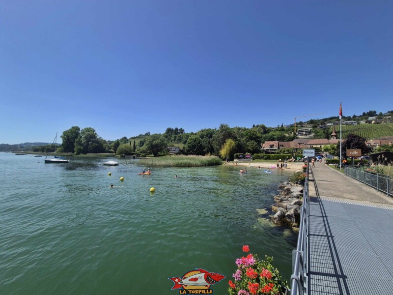 Le ponton du débarcadère de Môtier depuis la plage de sable, à l'ouest.