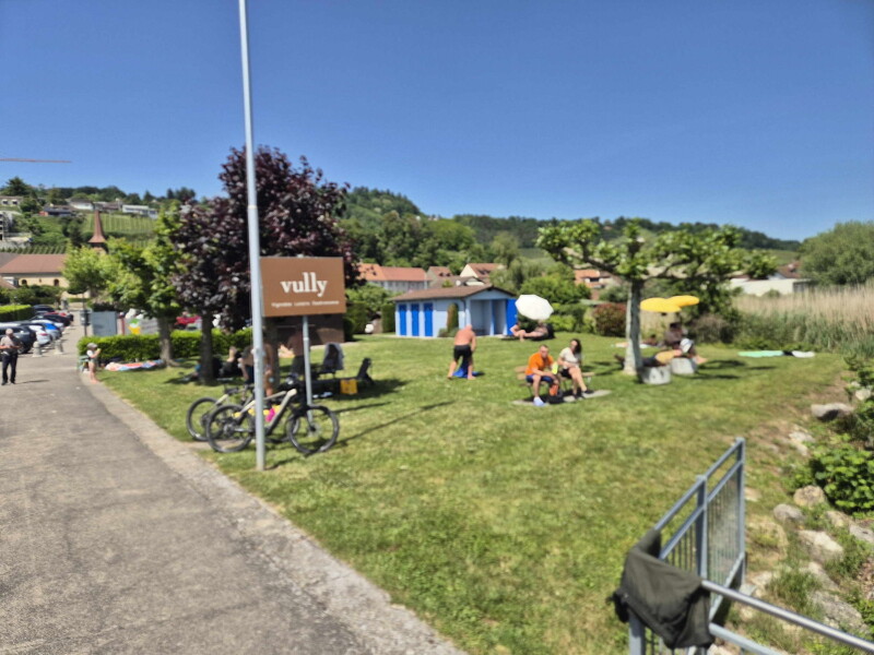 Pelouse Est. Plage de Môtier, Mont-Vully, lac de Morat, canton de Fribourg.