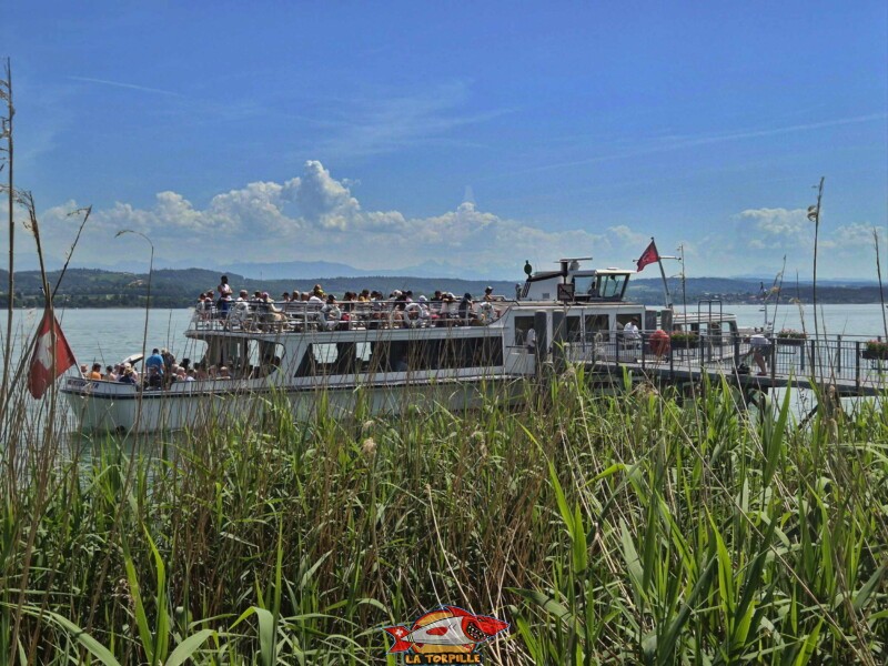 Le ponton du débarcadère depuis la pelouse de la plage de Môtier, à l'est. Débarcadère de Môtier, Mont-Vully, lac de Morat, companie LNM,.