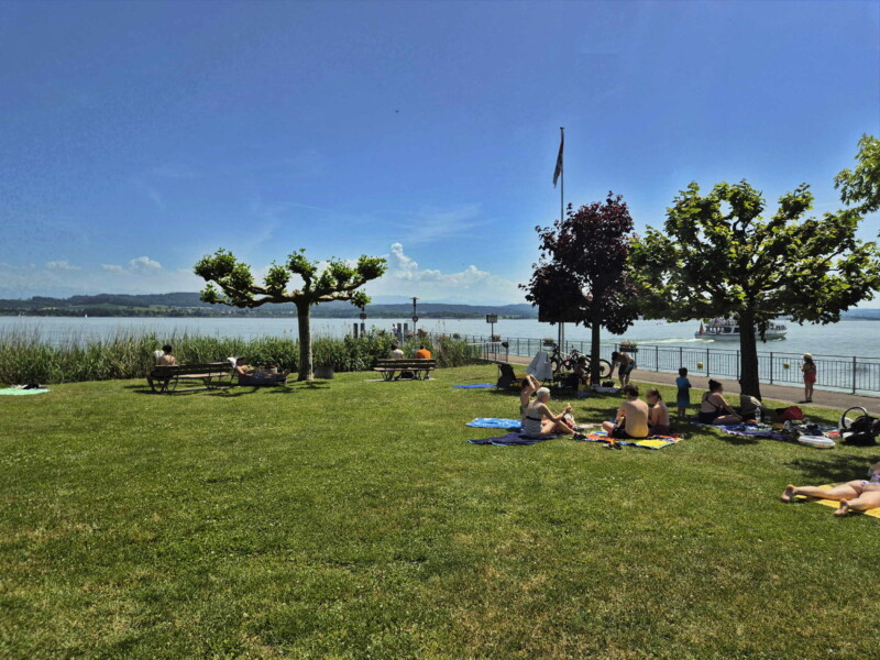 Pelouse Est. Plage de Môtier, Mont-Vully, lac de Morat, canton de Fribourg.