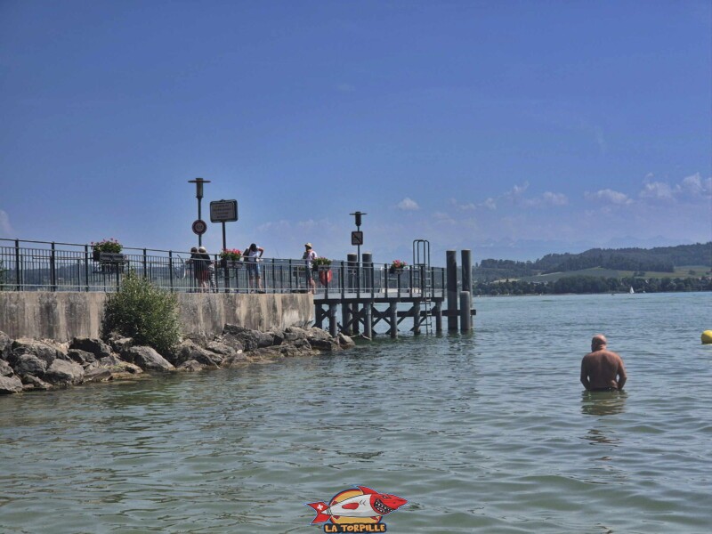 Le ponton du débarcadère de Môtier depuis la plage de sable, à l'ouest.