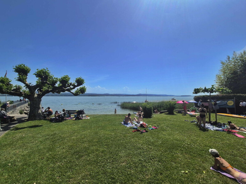 Pelouse Ouest. Plage de Môtier, Mont-Vully, lac de Morat, canton de Fribourg.