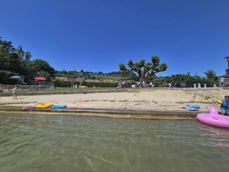 Zone de sable. Plage de Môtier, Mont-Vully, lac de Morat, canton de Fribourg.