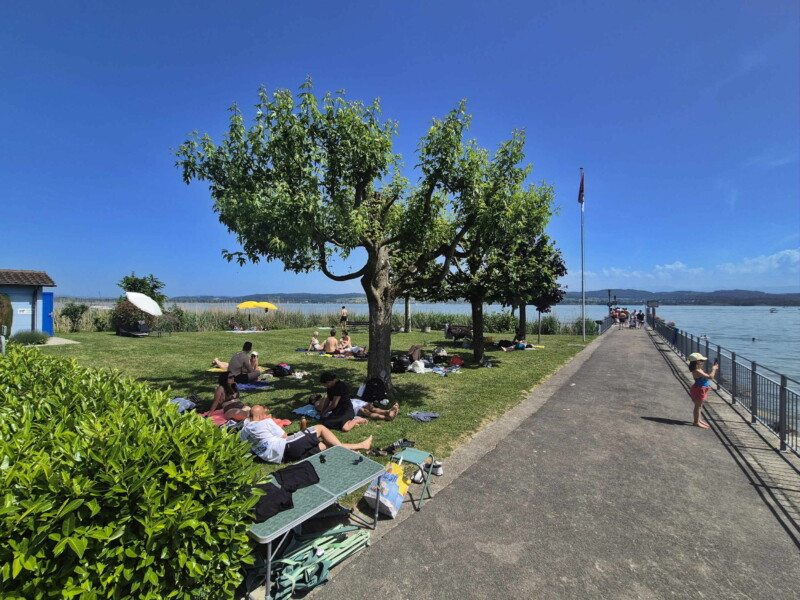 Pelouse Est. Plage de Môtier, Mont-Vully, lac de Morat, canton de Fribourg.