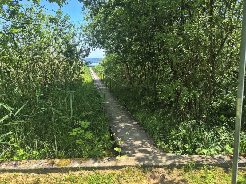 Le ponton depuis la zone de pelouse. Petite Plage de Vallamand, Vully-les-Lacs. Le ponton depuis la zone de pelouse. Petite Plage de Vallamand, Vully-les-Lacs.