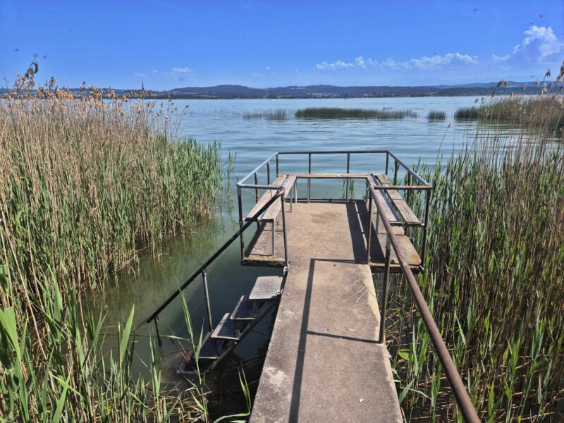 L'accès au lac au milieu des roseaux. Petite Plage de Vallamand, Vully-les-Lacs. L'accès au lac au milieu des roseaux. Petite Plage de Vallamand, Vully-les-Lacs.