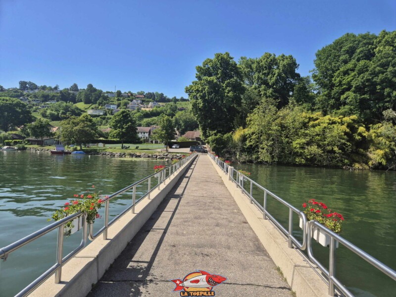 Les photos du ponton du débarcadère en direction du rivage.