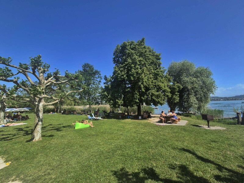Pelouse. Plage de Sugiez, commune de Mont-Vully, lac de Morat, canton de Fribourg.