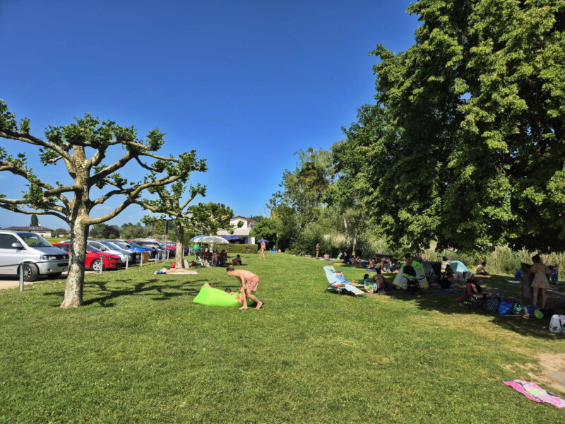 Pelouse. Plage de Sugiez, commune de Mont-Vully, lac de Morat, canton de Fribourg.