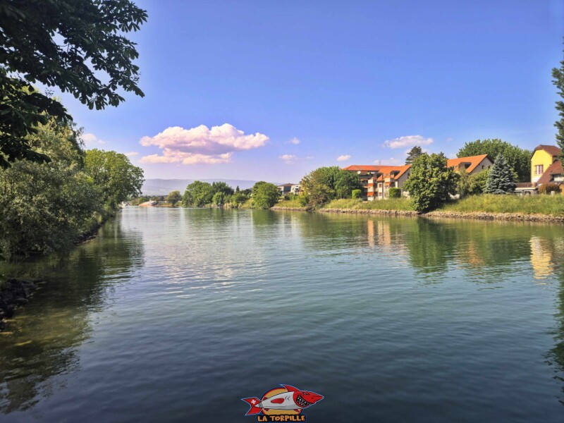  La vue direction lac de Neuchâtel depuis le débarcadère. Débarcadère de Sugiez, Mont-Vully, canal de la Broye, canton de Fribourg