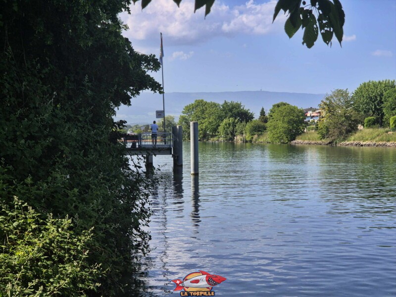 Débarcadère de Sugiez, Mont-Vully, canal de la Broye, canton de Fribourg