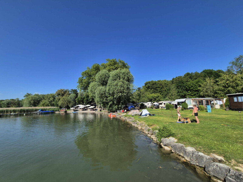 La petite zone de pelouse et les enrochements. Plage du Camping Muntelier, région Morat.