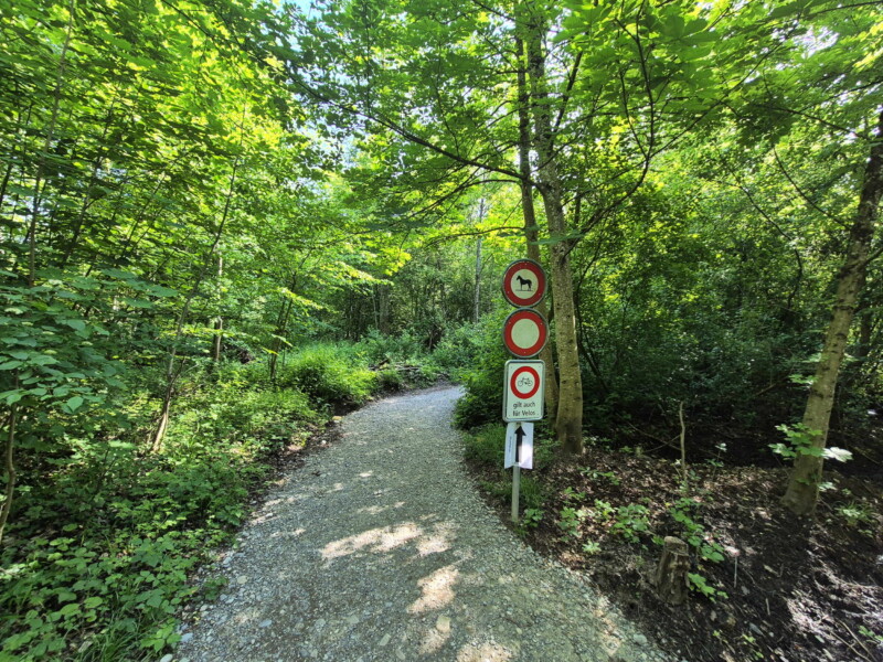 L'accès à la plage de Montilier par le sentier de la rive. Plage municipale de Montilier, région du lac, canton de Fribourg, lac de Morat.