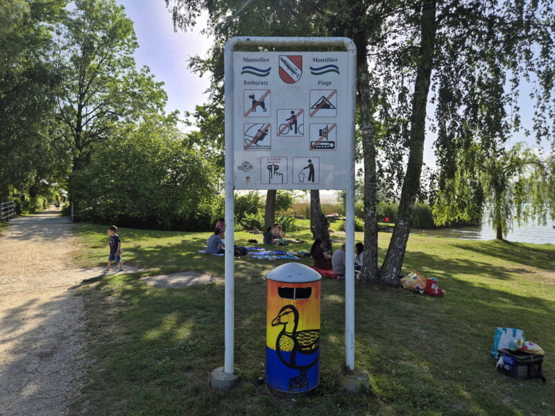 L'accès à la plage de Montilier par le sentier de la rive. Plage municipale de Montilier, région du lac, canton de Fribourg, lac de Morat.