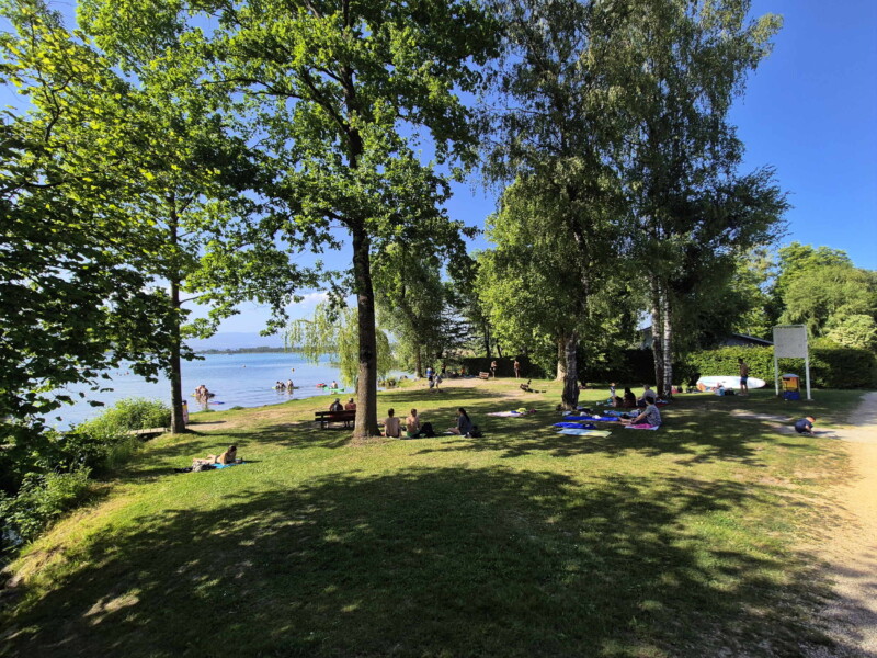 Pelouse. Plage municipale de Montilier, région du lac, canton de Fribourg, lac de Morat.