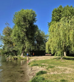 🏖️ Plage de Montilier