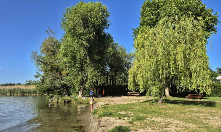 🏖️ Plage de Montilier