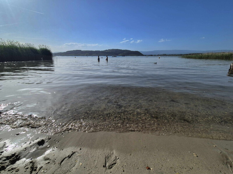 Rivage. Plage municipale de Montilier, région du lac, canton de Fribourg, lac de Morat.