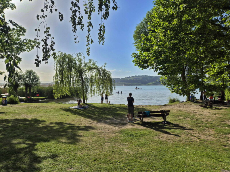 Pelouse. Plage municipale de Montilier, région du lac, canton de Fribourg, lac de Morat.