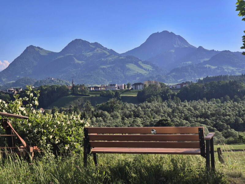 Un banc quelques dizaines de mètres au-dessus du parking qui permet d'avoir une magnifique vue sur le Moléson (droite), le village de Broc (milieu) et le château de Gruyères (gauche). Un banc quelques dizaines de mètres au-dessus du parking qui permet d'avoir une magnifique vue sur le Moléson (droite), le village de Broc (milieu) et le château de Gruyères (gauche).