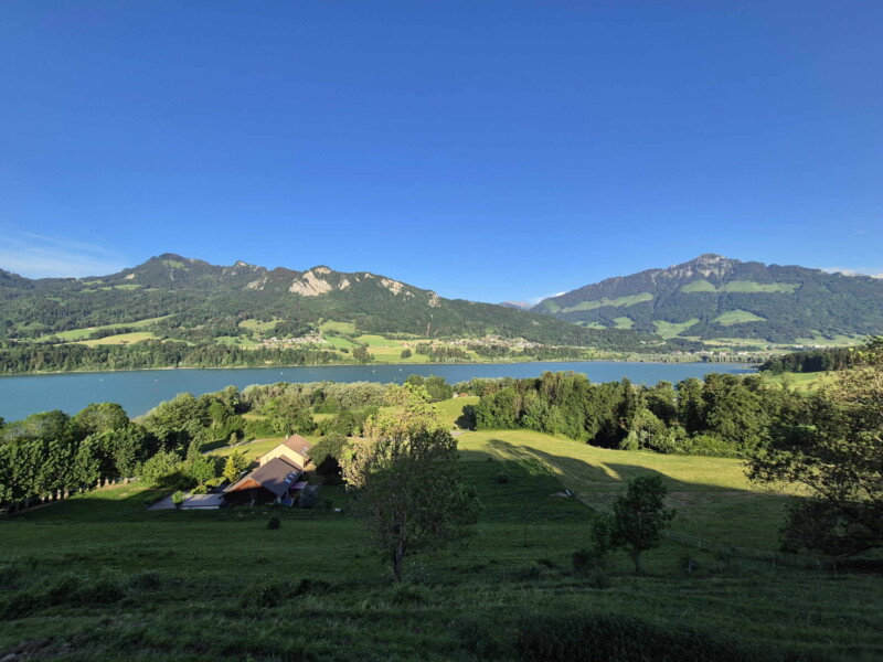 La vue d'ensemble sur la partie sud du lac de la Gruyère. La vue d'ensemble sur la partie sud du lac de la Gruyère.