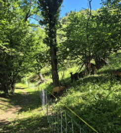 🏞️ Bisse de Clavau – Ayent