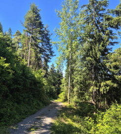 🏞️ Bisse de Clavau – Ayent