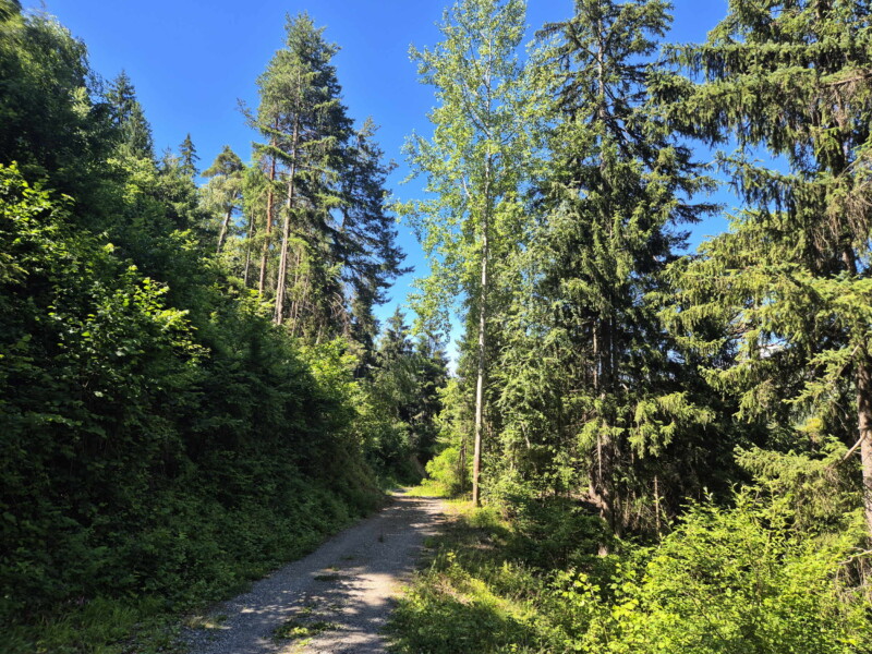 Descente à la Lienne. Randonnée bisse de Clavau.